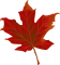 leaf-984998_1280